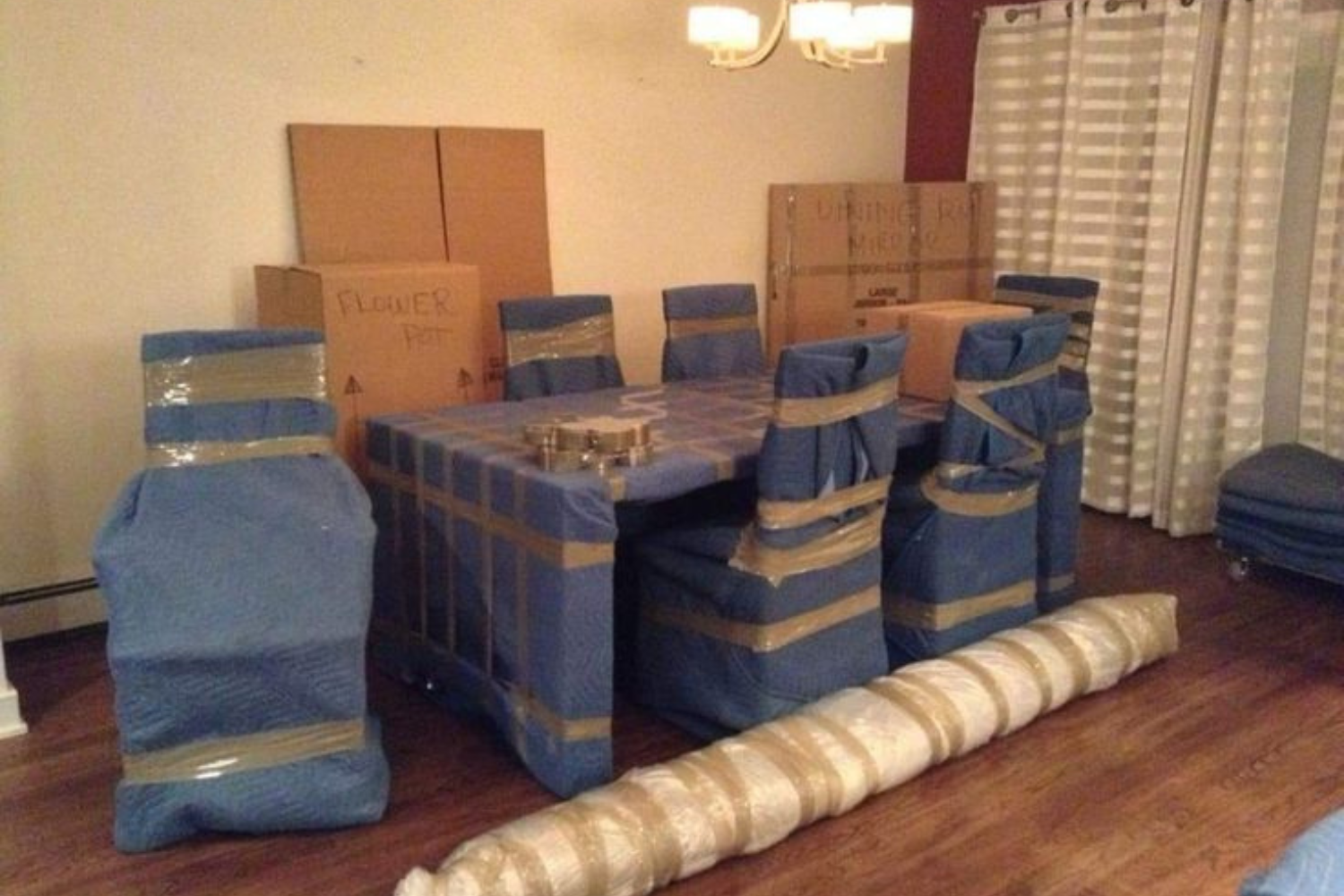 Untitled design (12)